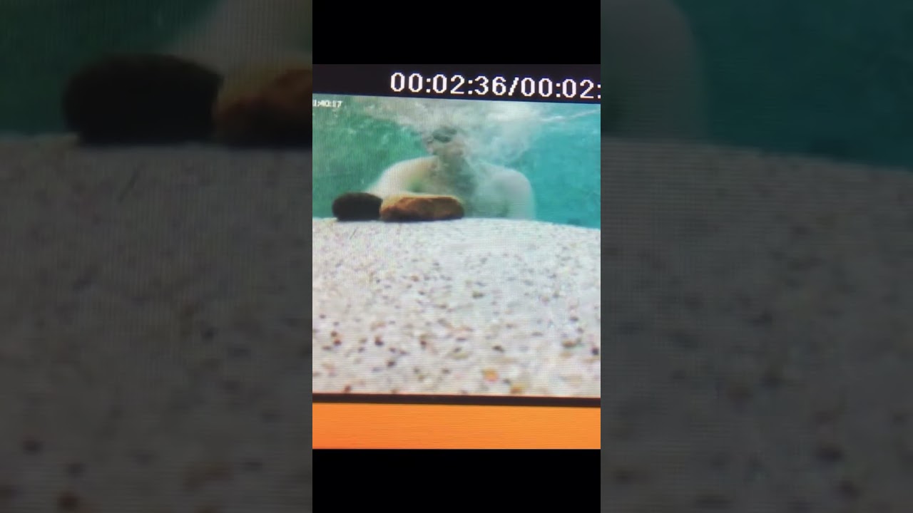 Small multi vortex EF5 whirlpool