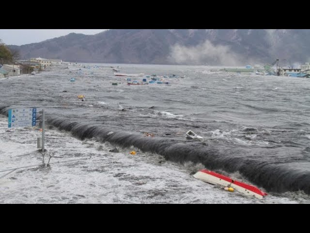 Live tsunami india Live tsunami india