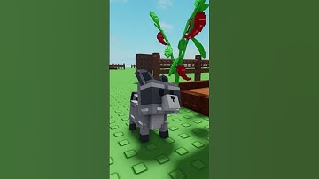Thumbnail of Pov: Racoon in Grow a Garden Roblox #shorts #growagarden