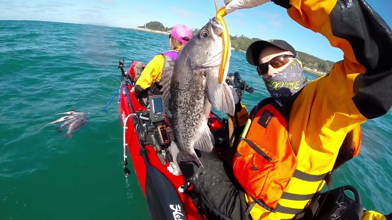 Black Rockfish Kayak Fishing Depoe Bay Oregon YouTube