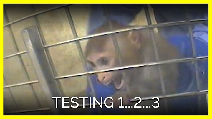Testing 1...2...3.