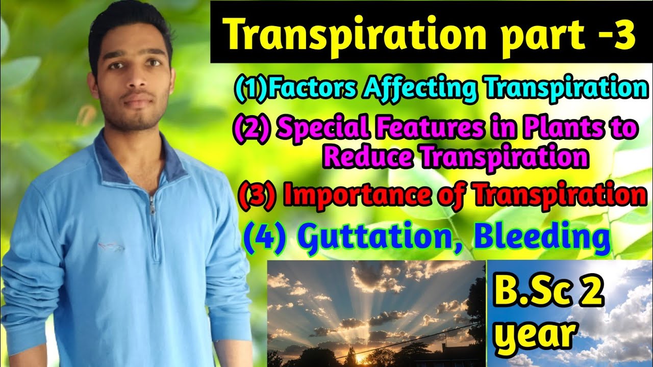 Transpiration in plants part-3/ Guttation and Bleeding in plants / B.Sc 2 year Botany