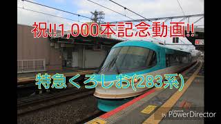 【祝❕1,000本目】【JR阪和線】浅香駅 特急くろしお(283系):新宮行 通過