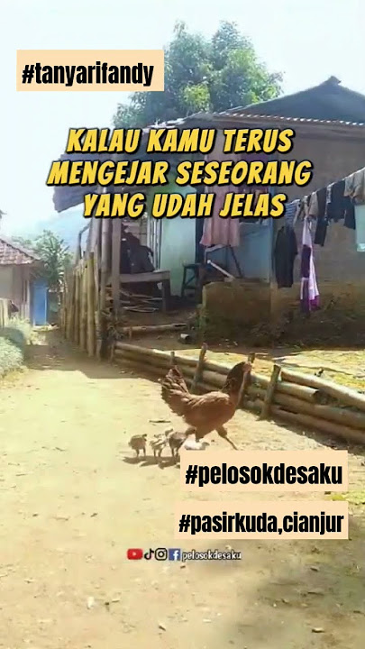 jangan sakiti dirimu dg mengejar yg tdk pasti. #shortsviral #motivasi #tanyarifandy #pelosokdesaku