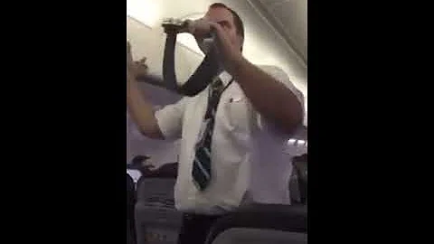 Chi sono gli assistenti di volo?