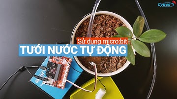 Tưới Cây Tự Động với micro:bit và REKA:BIT