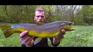 Urban trout fishing in the city of Manchester