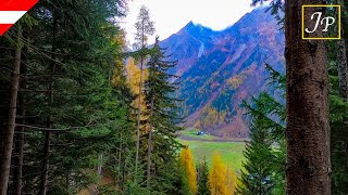 Alpine Forest Walk - Tyrol, Austria