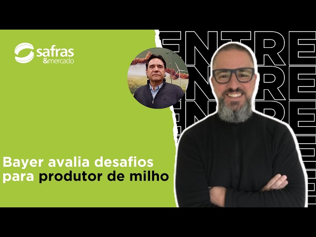 Produtor de milho enfrenta grande desafio climático e financeiro, avalia Bayer