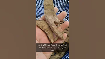 مروكي اصقوان طبيعي 