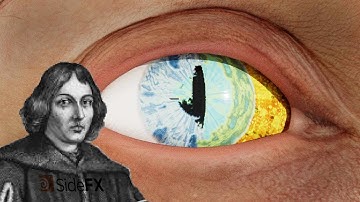 Growth effect in the new Cops network (copernicus) Houdini 20.5