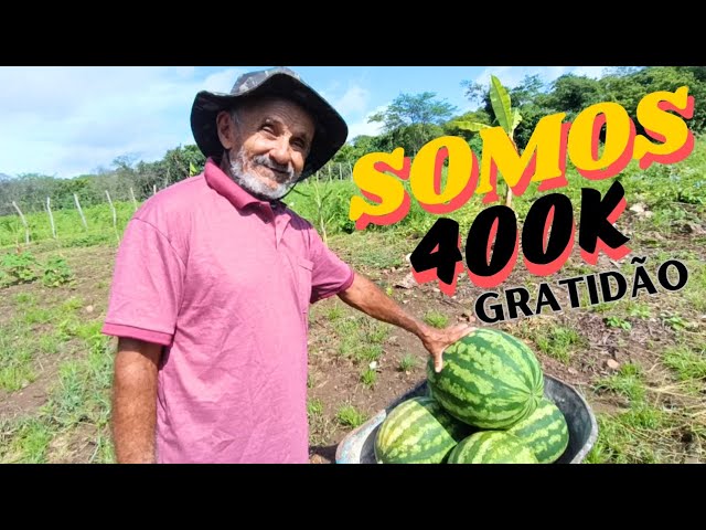 Gratidão Somos 400k Muito Obrigado a Todos +Dia de Colheita Muita Fartura na Roça class=