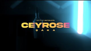 Ceyrose - şaka #CEYBASEMENT 2 Resimi