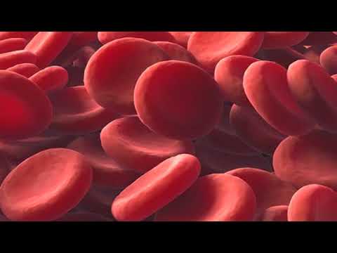 Vidéo: Comment Augmenter Vos Globules Rouges