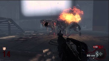 Black Ops: Kino dog barrier