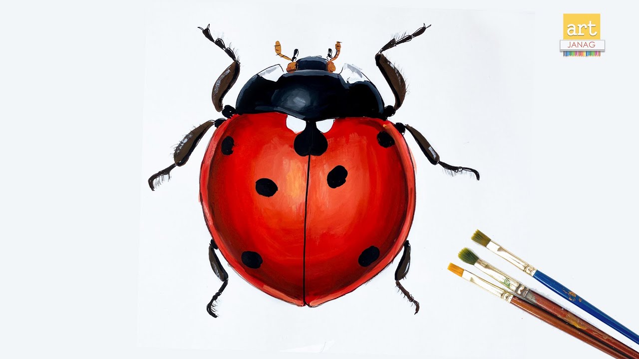 Premium Vector | Ladybug insect sketch for design and scrapbooking