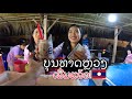 EP2 ບຸນທາດຫຼວງ ໃນໝູ່ບ້ານເຮືອນລາວ That Luang Festival, Vientiane, Laos. งานบุญพระธาตุหลวงเวียงจันทร์