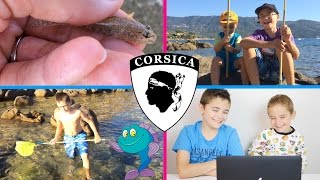 On regarde nos ANCIENNES VIDEOS : VLOG - La Pêche aux Poissons de Néo