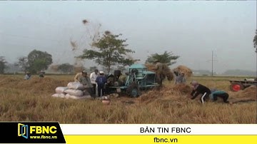 FBNC - Nhiều ưu đãi khuyến khích đầu tư nước ngoài vào nông nghiệp