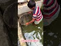 a small boy dam fish farming #fish