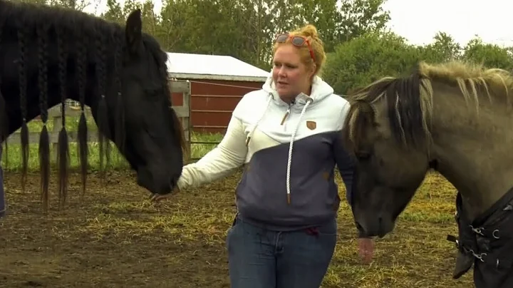 Alberta woman travels 50 hours to rescue horses from Yellowknife wildfires