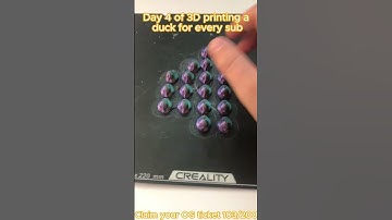 Day 4 of 3D printing a duck for every sub