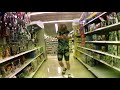 Stariway To Stars (Official Music Video)