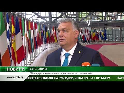 Видео: Как микоризата помага в селското стопанство?