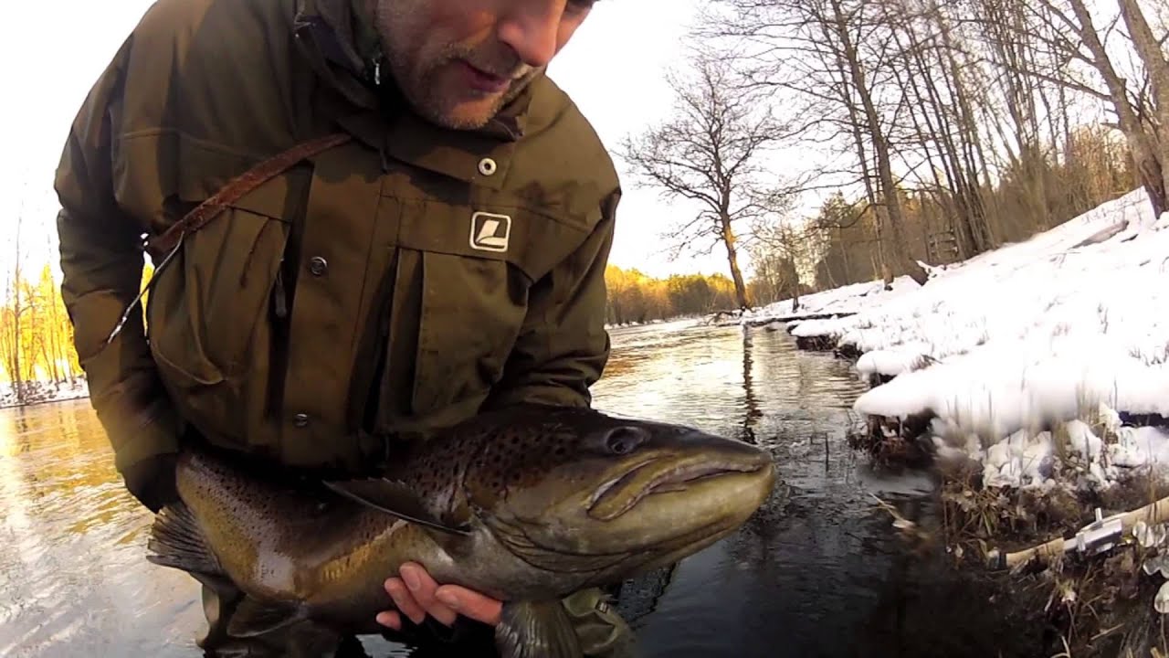 Laxlyckan - fishing in river Mörrum - SwedenFishing.com