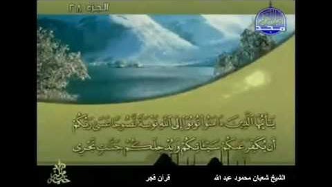 الشيخ شعبان محمود عبد الله  .... سورة التحريم قرآن فجر
