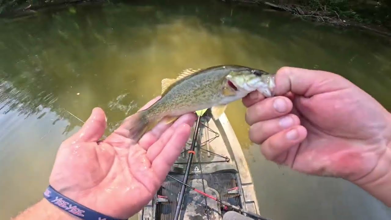 KAYAK BASS fishing Compilation