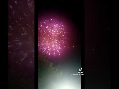 Feria de Ahualulco