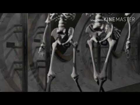 اغنيه لاي لاي لاي لاي حماسيه لايفوتكم محمد