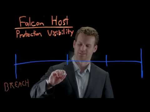 CrowdStrike Falcon Use