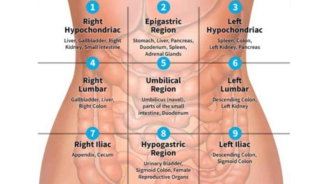Inflamacion abdominal causas