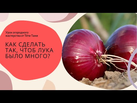 502. Хороший урожай лука , это просто...
