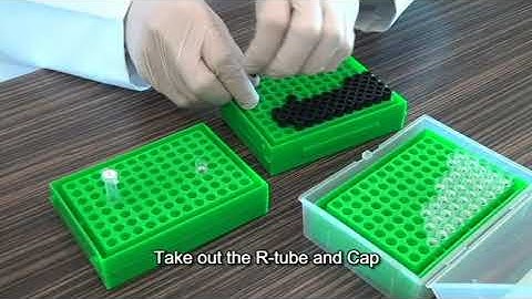 POCKIT CDV Reagent Set _ Operation video