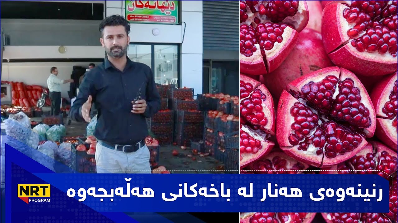 گەڕیدە - رنینەوەی هەنار لەباخەکانی هەڵەبجەوە بۆ بازاڕەکانی کوردستان و جیهان