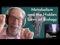 Geoffrey west metabolism and the hidden laws of biology  the great simplification 117