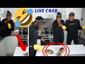 COOKING A LIVE CRAB + ONE FULLY TRIED TO ESCAPE FAM. NELLA'S KITCHEN EPISODE.1