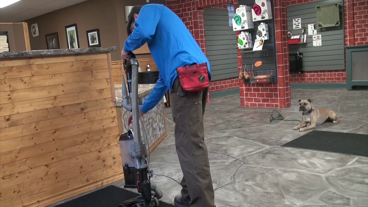 How Do I Stop My Dog From Attacking The Vacuum