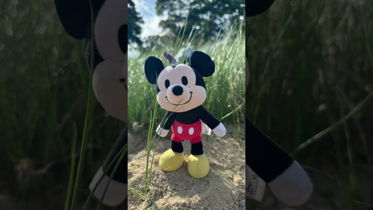 Boys Day at the Beach | NuiMOs on the East Coast! 