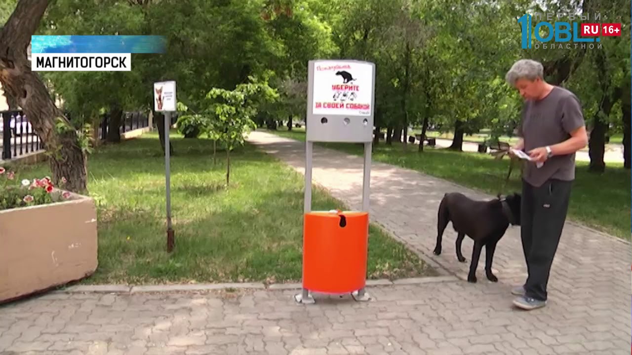 Дог боксы. Урна дог бокс. Дог бокс для собак. Док бокс для собак. Дог бокс для собак в парке.