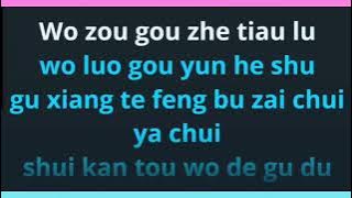 Gu Xiang Lu 故乡路 female karaoke