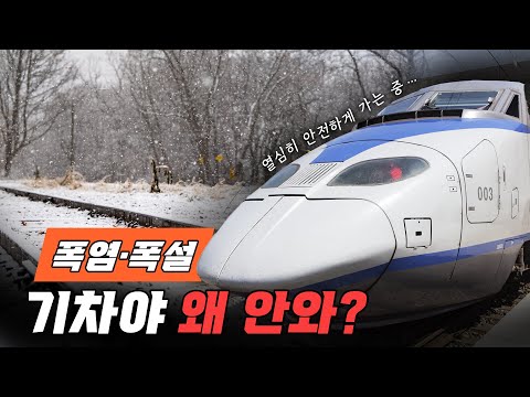 기차야, <strong>왜</strong> 지연돼? 🚆🔥❄ 폭염·폭설에 속도 30km/h이하로 서행하는 이유! Hey train! <strong>why</strong> you delayed?