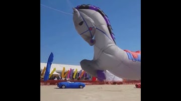 Solid Color Feather Flags Review