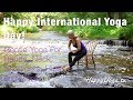 Chair Yoga | Happy Yoga with Sarah Starr Cascading River Chair Yoga | Happy Yoga with Sarah Starr Cascading River
