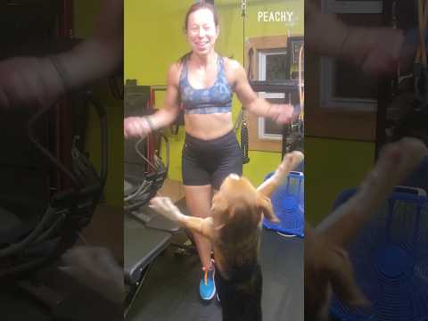 Doggy wants to exercise with mom 🐶😂 #short #women #funny #fail #dog #exercise