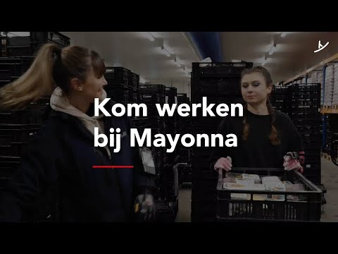 Kom werken bij Mayonna!