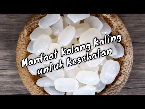 14 Manfaat Kolang Kaling Untuk Kesehatan